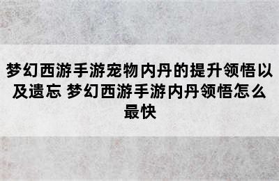 梦幻西游手游宠物内丹的提升领悟以及遗忘 梦幻西游手游内丹领悟怎么最快